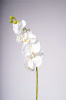 40" ORCHID X8 FLOWERS