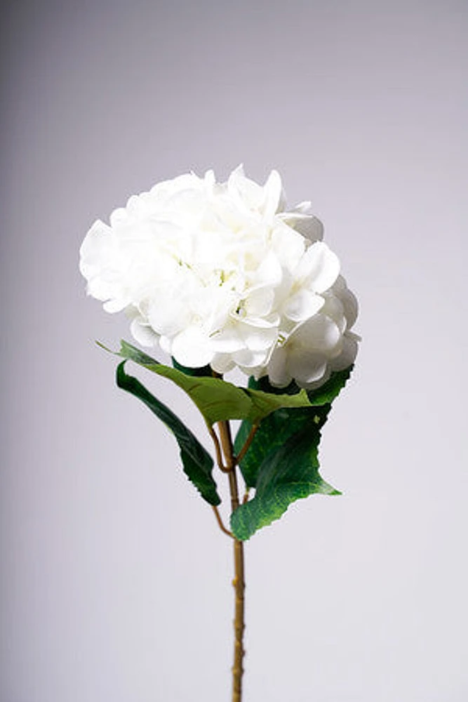 31" HYDRANGEA WHITE