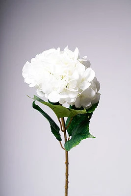 31" HYDRANGEA WHITE