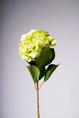 31" LG. HYDRANGEA GREEN