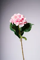 31" HYDRANGEA ROSE