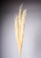 60" PAMPAS FLOWER X3