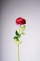 27" TEAROSE RED