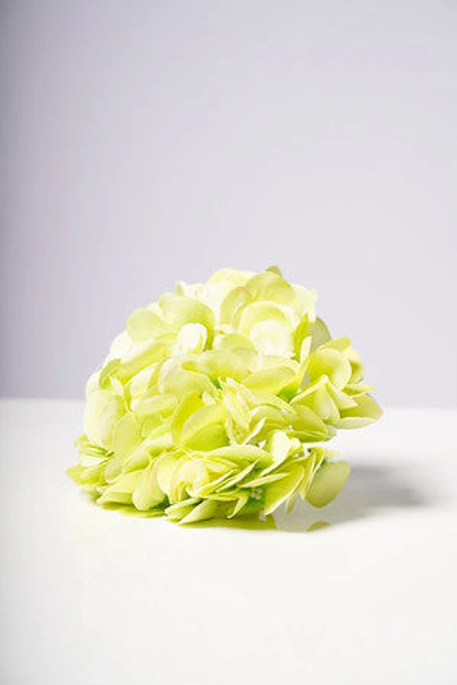 HYDRANGEA HEAD X6 GREEN