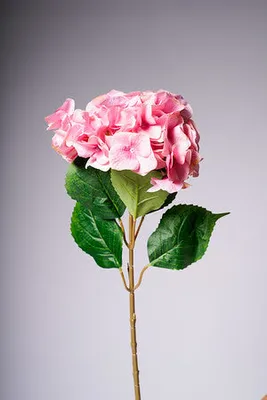 31" LG. HYDRANGEA ROSE