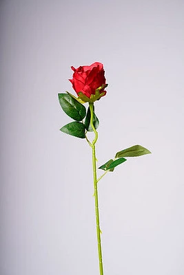 20" ROSEBUD RED