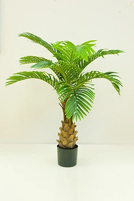 47" KWAI PALM IN POT