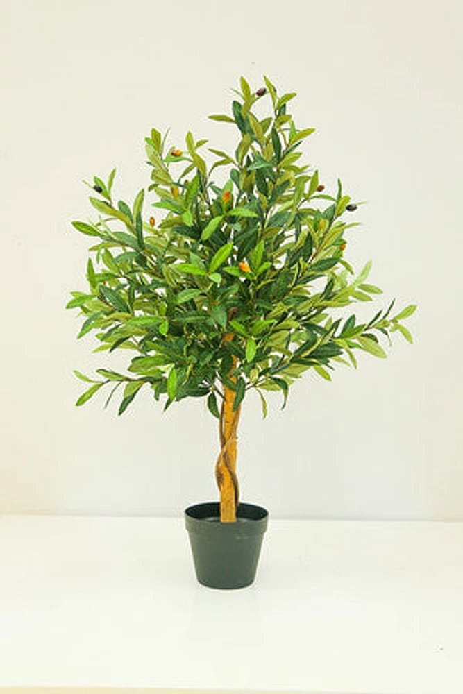 36" OLIVE TREE POT