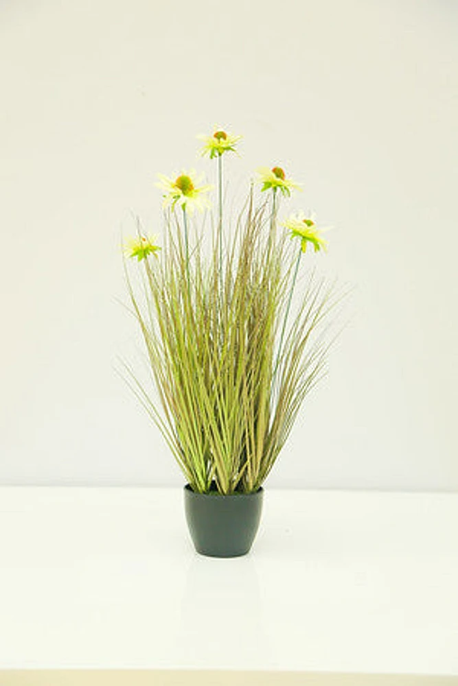 22" WHITE CHRYSANTHEMUM GRASS IN POT