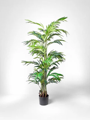 59" Palm Tree
