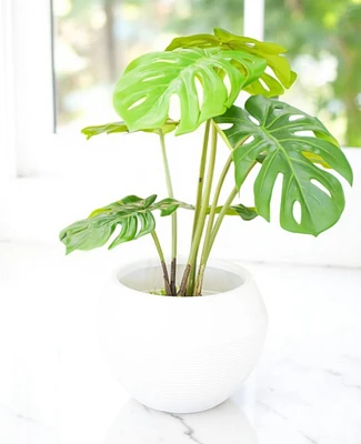 11" VASE ARRUDA