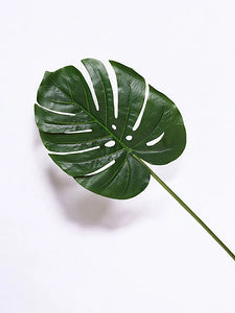 34" MONSTERA LEAF