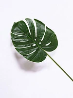 34" MONSTERA LEAF