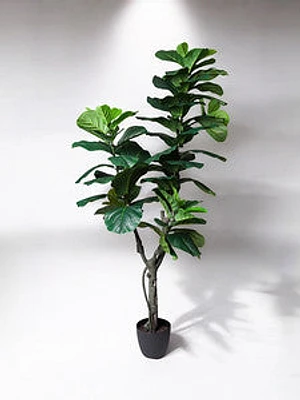 5' FIDDLE TREE