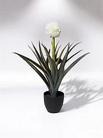 30" Pineapple Plant w/Pot - Coco's Plantation