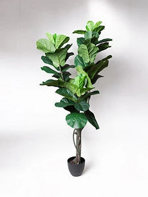 68" FIDDLE TREE