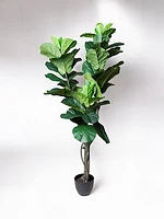 68" FIDDLE TREE