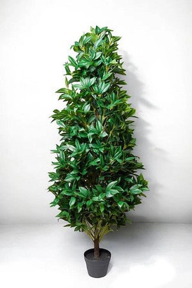 LAUREL PLANT 180CM