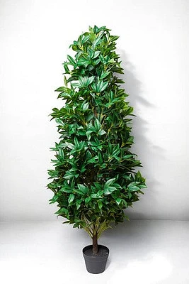 LAUREL PLANT 180CM