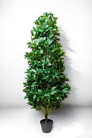 LAUREL PLANT 180CM