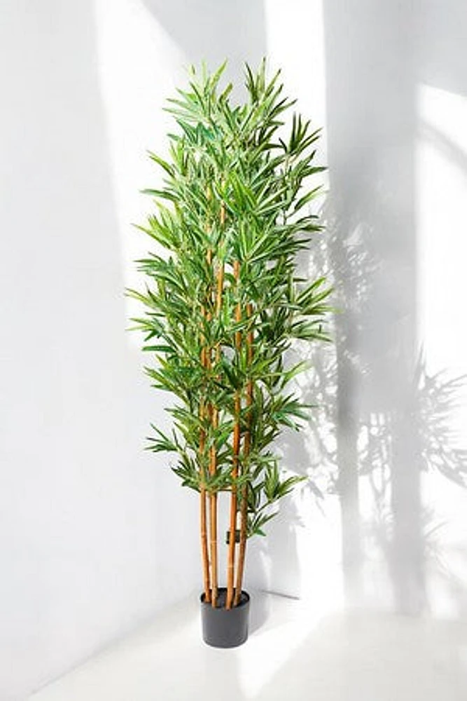 BAMBOO PLANT 180CM