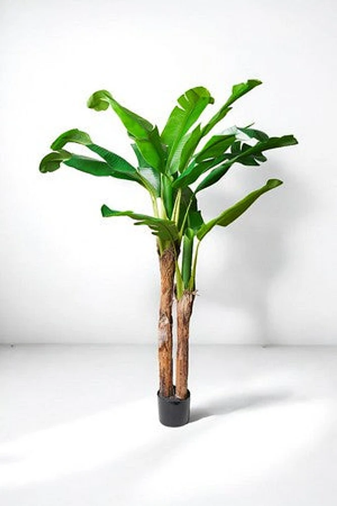 BANANA TREE 180CM