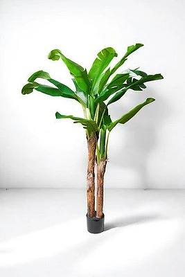 BANANA TREE 180CM