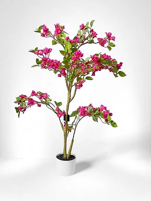 43" Bougainvillea Tree Color Fushia
