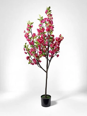 6' Cherry Blossom Tree Color Fushia