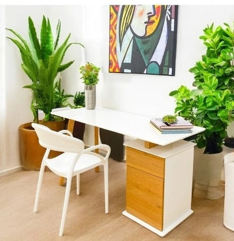 55" Gianna Modern Desk