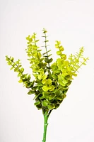 12" EUCALYPTUS BUSH