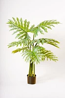 57" MONSTERA PLANT G