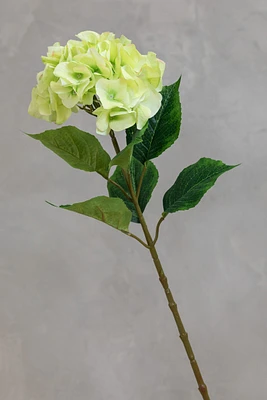 Large Hydrangea - Green