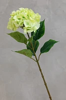 Large Hydrangea - Green