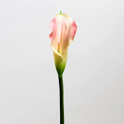 Calla Lily Pink - Tropics Collection