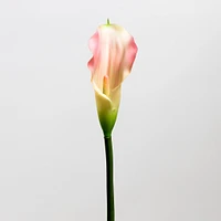 Calla Lily Pink - Tropics Collection