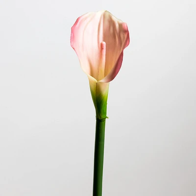Calla Lily Pink Medium - Tropics Collection