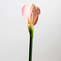 Calla Lily Pink Medium - Tropics Collection