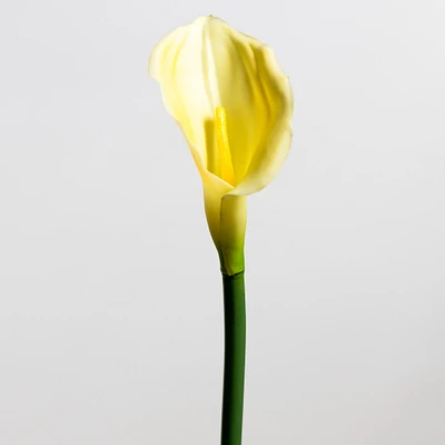 Calla Lily Yellow LG - Tropics Collection