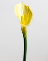 Calla Lily Yellow Medium - Tropics Collection
