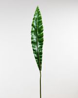 Nestel Leaf Green - Tropics Collection
