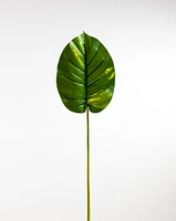 Pothos Leaf Green - Tropics Collection
