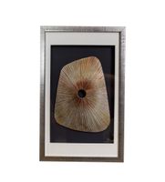 Shell Box Wall Art Decor