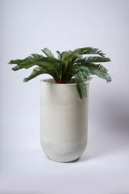 32" PLANTER DECO - OFF WHITE