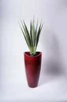 36" PLANTER COPACABANA - RED