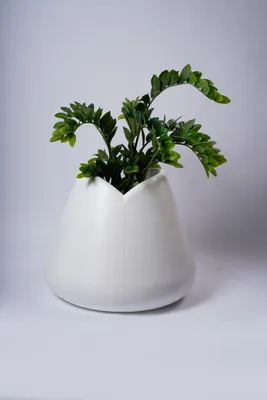 24" PLANTER TULIPA - WHITE