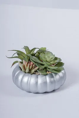 4" MIXED SUCCULENT W/SILVER POT