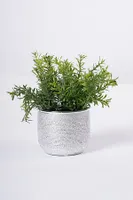 8" GRASS W/SILVER POT