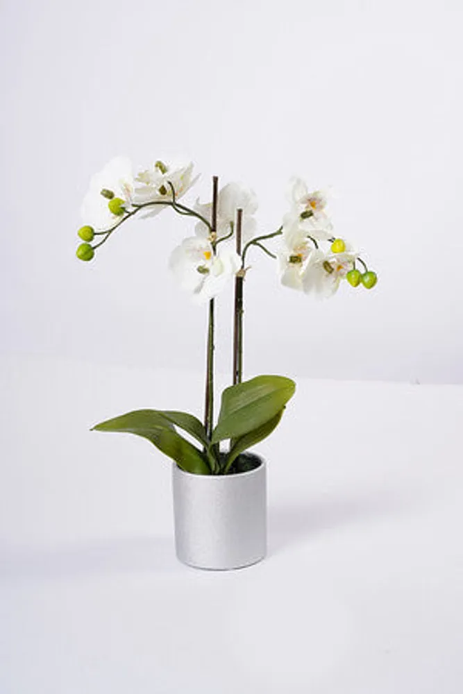 19" ORCHID ON SILVER POT