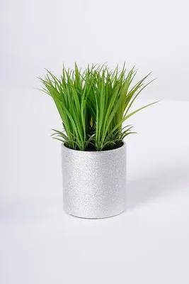 10" GRASS WITH SILVER POT